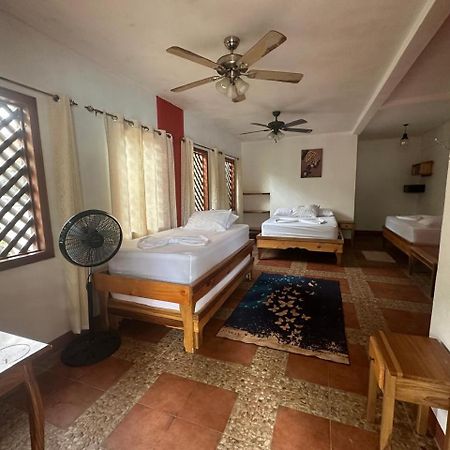 Hotel Don Quichotte Tortuguero Exterior photo